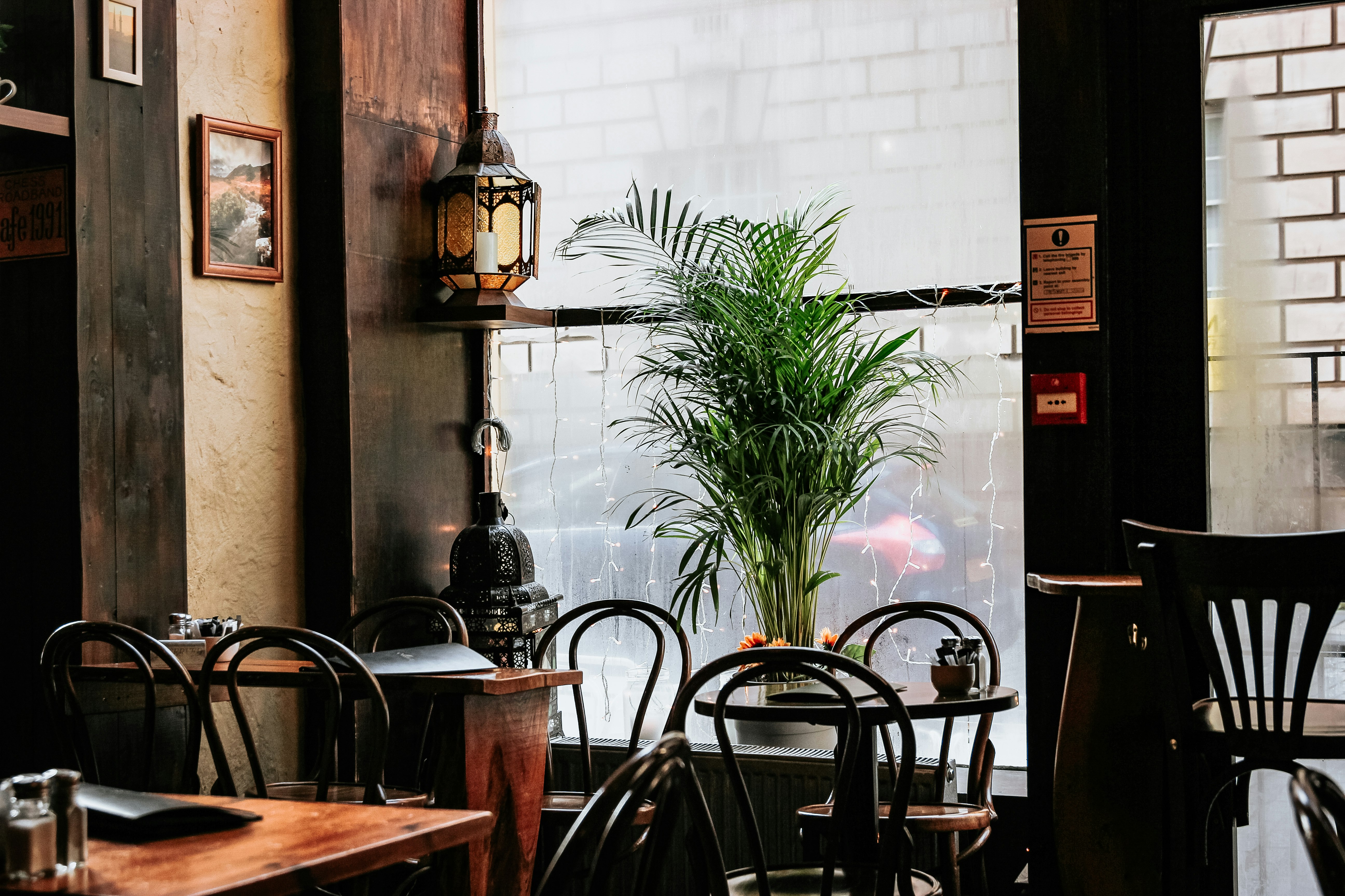 brown wooden dining tables near window and plant